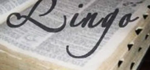 Lingo: Health & Diet Awareness