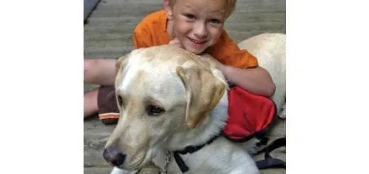 Have You Considered How a Dog Could Enhance Your Child’s Life?