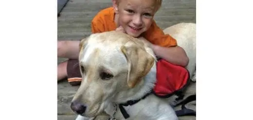 Have You Considered How a Dog Could Enhance Your Child’s Life?