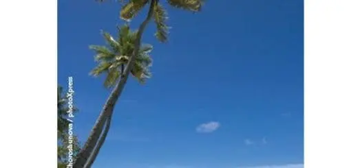 Simple Finds: Summer Matters