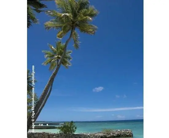 Simple Finds: Summer Matters