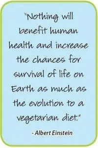 Albert Einstein Quote