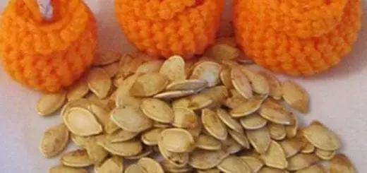 Cooking With Kids: Roasted Pumpkin Seeds