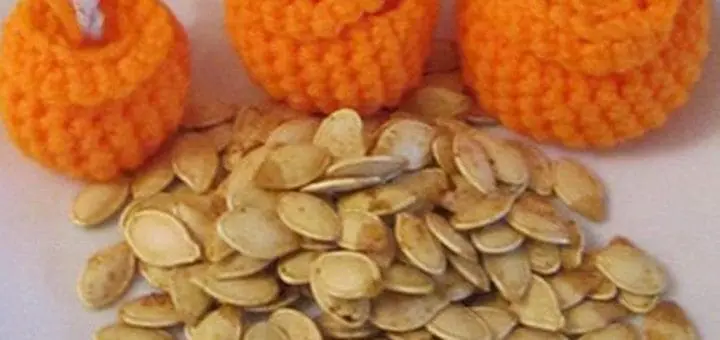 Cooking With Kids: Roasted Pumpkin Seeds