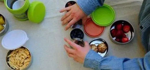 What to Pack for School Lunches