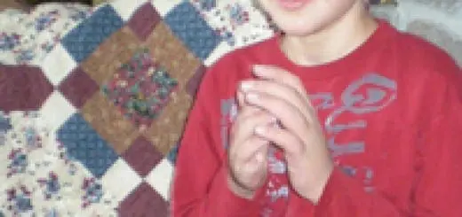 A Life Full of Flies