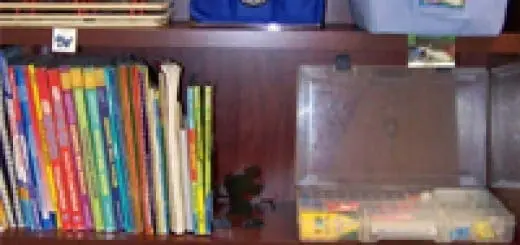 Keeping Your Toys (and Your Child) Organized