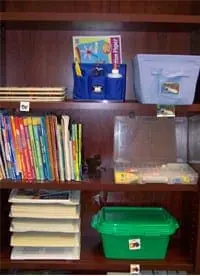Keeping Your Toys (and Your Child) Organized