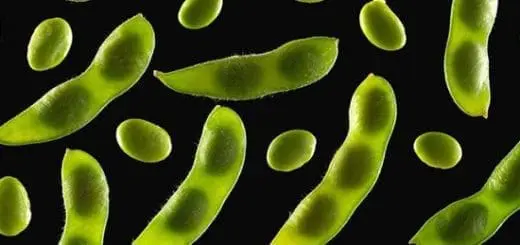 Different Types of Soy Products: Are They Safe for Children?