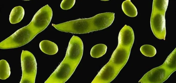 Different Types of Soy Products: Are They Safe for Children?