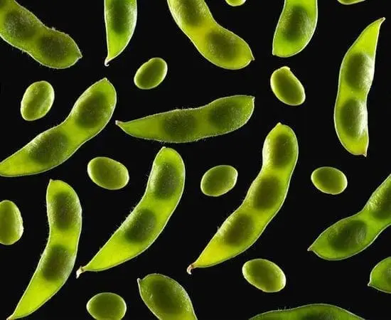 Different Types of Soy Products: Are They Safe for Children?