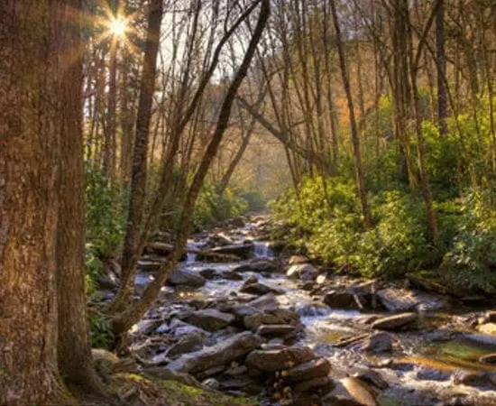 Free Access Pass to America the Beautiful