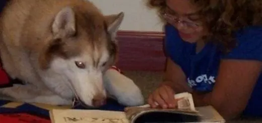 How Can My Child Be Independent?