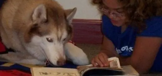 How Can My Child Be Independent?