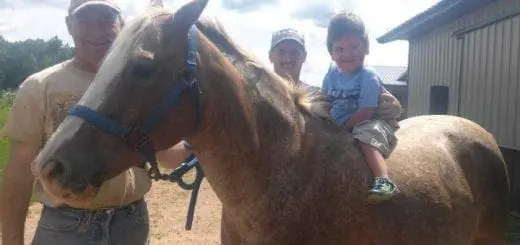 Expectations: How Far Have We Come and What to Expect for the New School Year