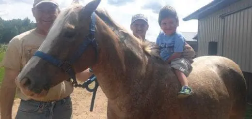 Expectations: How Far Have We Come and What to Expect for the New School Year