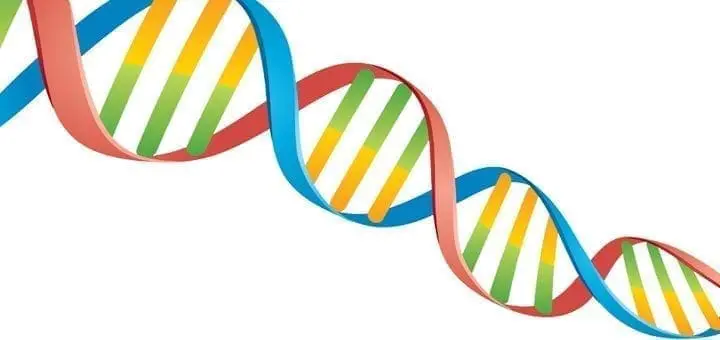 Pharmacogenetics Genetic Testing for Personalized Medical Treatment