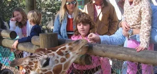 Spring Break Ideas to Entertain Your Kids