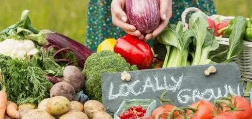 Staying Healthy with a Proper Diet