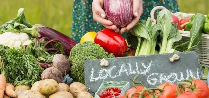 Staying Healthy with a Proper Diet