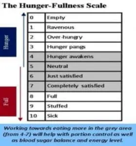 hungerscale