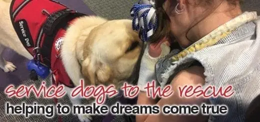 Service Dogs to the Rescue: Helping to Make Dreams Come True