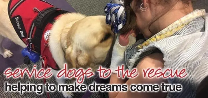 Service Dogs to the Rescue: Helping to Make Dreams Come True