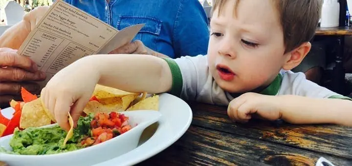 Dinner’s On: How to Cook Once and Feed All Eaters