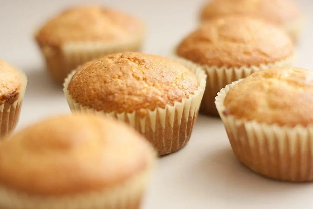 Corn Muffins Recipes