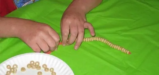 Functional & Edible Cereal Necklace