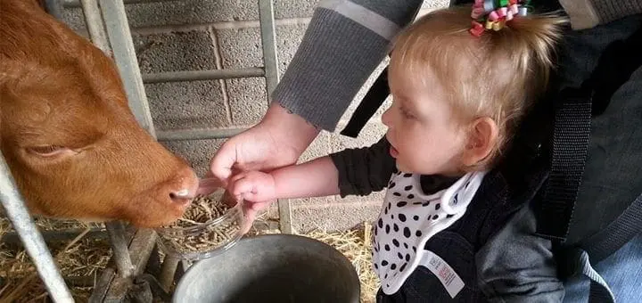 Upright in the Upsee: Oh, the Places We’ll Go!