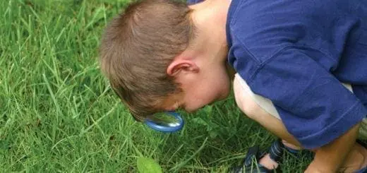 Easter Hunt Over? Now! Try Peanut Hunt!