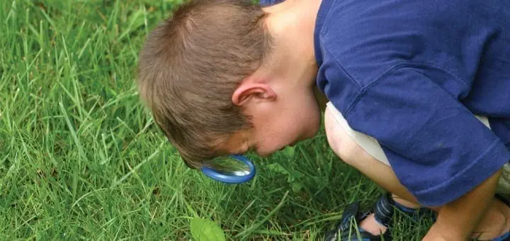 Easter Hunt Over? Now! Try Peanut Hunt!