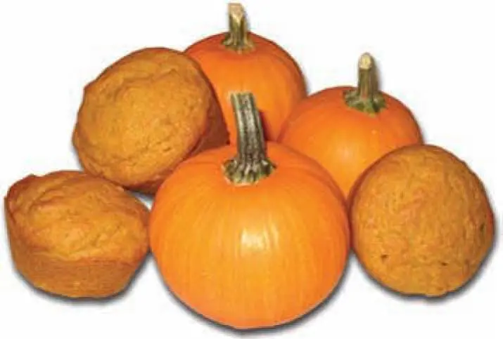 GFCF Holiday Recipes: Pumpkin Muffins