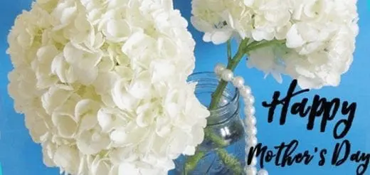 5 Beautiful Mother's Day Quotes