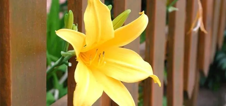 An Ode to the Exceptional Mom