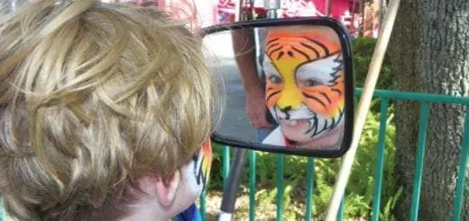 The Disney Disability Pass: The Not so Mickey Mouse Approach to Enjoying the Parks