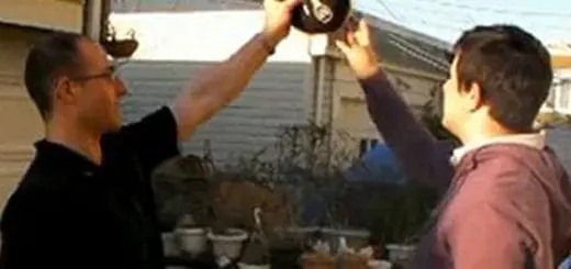 Five Myths About Autism Fitness