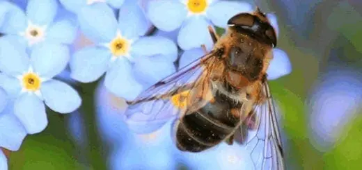 Staying at Home Tech Tips to Help Throughout Your Day