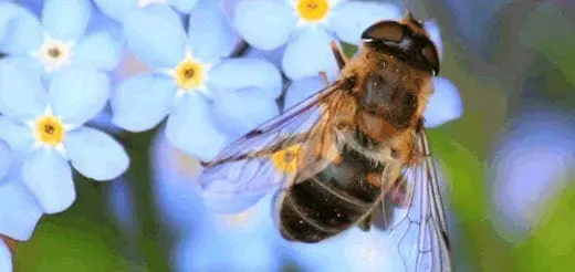 Staying at Home Tech Tips to Help Throughout Your Day