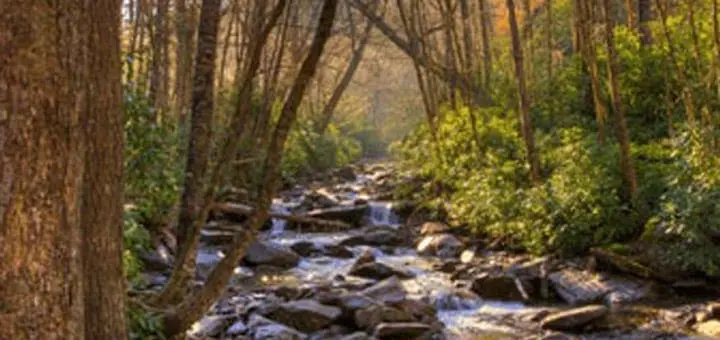 Free Access Pass to America the Beautiful