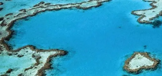 Mommy's Timeout: Coral Reefs