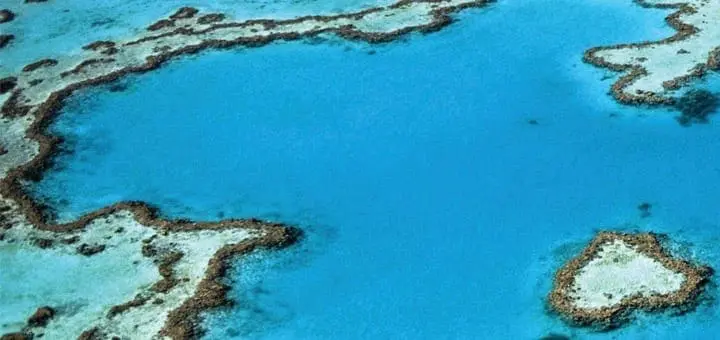 Mommy's Timeout: Coral Reefs