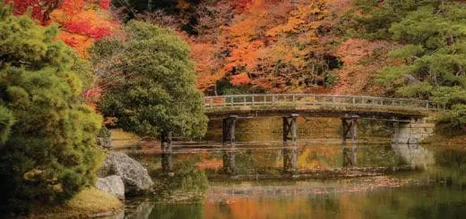 Mommys Timeout Koyoto Fall Colors