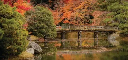 Mommys Timeout Koyoto Fall Colors