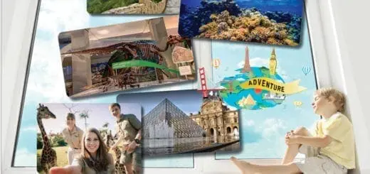 You Don’t Need to Leave Your House to Have an Adventure