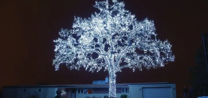 Mommy's Timeout: Beautiful Tree All Lit Up
