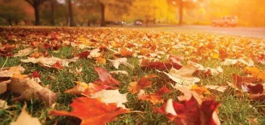 Mommy's Timeout: Brandywine Creek