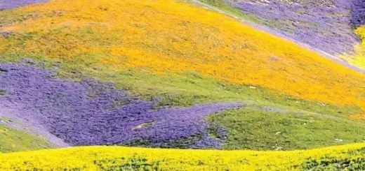 Carrizo Plain National Monument Temblor Range