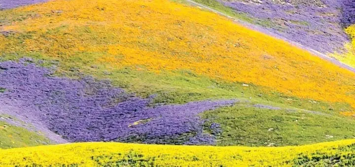 Carrizo Plain National Monument Temblor Range